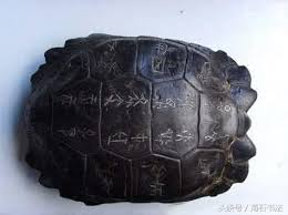 首页健康娱乐时尚游戏3c 亲子文化历史动漫星座汽车家居情感科技星座宠物为什么最早的象形字都刻在龟壳上 history turtle animals