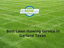 Market share of professional lawn care companies. What Is The Best Lawn Treatment Company