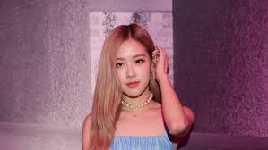 Any of a genus (rosa of the family rosaceae, the rose family) of usually prickly shrubs with pinnate leaves and showy flowers having five petals in the wild state but. Rose Is Yves Saint Laurent S New Beauty Ambassador Somag News