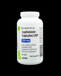 Image result for Cephalexin