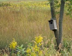 On top of that, there are a range of natural communities including woodlands, mesic and wet prairie, sedge meadow and marshes. Middlefork Savanna Lake County Forest Preserves