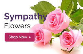 Maybe you would like to learn more about one of these? Occasions Lowe S Garden Center