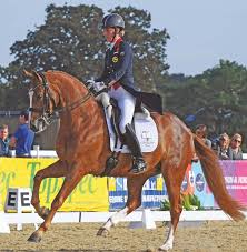 Gareth hughes on sintano van hof olympia was named reserve. Gio