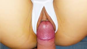 Essayez de ne pas jouir et compilation d’éjaculations -- Partie 1 --