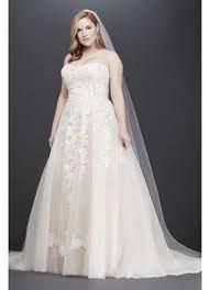 Because champagne shouldn't just be for the toast. As Is Sheer Lace And Tulle Plus Size Wedding Dress David S Bridal
