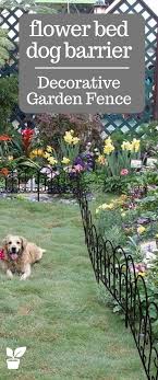 Decorative Garden Fence Flower Bed Barrier Garden Fence Barrier For Dogs Is Movable And Removable Decorative Garden Fencing Metal Garden Fencing Flower Beds