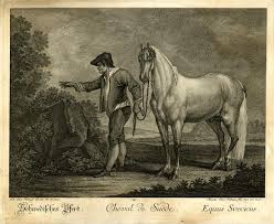 Datovanie vľavo dole joh.el.ridinger sculps.aug. Martin Elias Ridinger British Museum