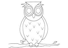 We did not find results for: 5 Contoh Sketsa Gambar Burung Hantu Kolase Cara Mewarnai