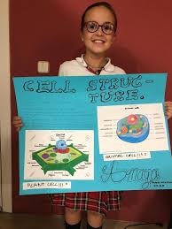 Check spelling or type a new query. Amaya R From 5th Grade Made A Super Poster About Plant And Animal Cells Great Work Amaya Montealto In English