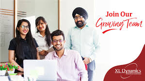 Xl dynamics is privately held corporation providing it, audit & quality control outsourcing solutions to a defined clientele in the us mortgage. Home Xl Dynamics India Pvt Ltd