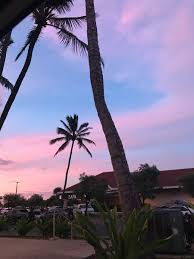 Image result for alexia lei