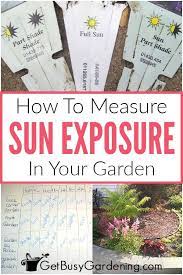 How are security tokens changing the way we view investments? How To Determine Sun Exposure In Your Garden Get Busy Gardening