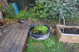 Maybe you would like to learn more about one of these? How To Build A Mini Pond Wild South