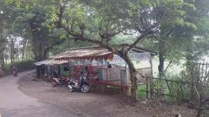 #cucak rowo adalah sejenis #burung pengicau dari suku pycnonotidae. Viral Video Remaja Mesum Di Pinggir Waduk Gunungrowo Pati Camat Langsung Kumpulkan Pedagang Tribun Banyumas