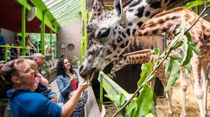 Maybe you would like to learn more about one of these? Top 10 Family Fun Attractions In Belfast Family Friendly Things To Do A Blog Full Of Ideas And Inspiration Visit Belfast