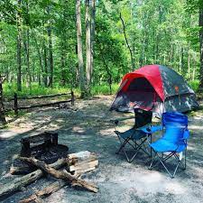Turkey Swamp Park Trail Map Turkey Swamp Park Camping | The Dyrt