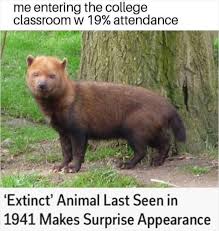 Ships passing in the night: 50 Memes That Hilariously Sum Up Student Life Bored Panda