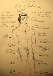 DEAD BUT DELICIOUS — Cardassian Anatomy Reference - with a lot of...