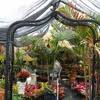 Your local palm beach gardens florist | family owned since 1986. Best 20 Wholesale Flowers In West Palm Beach Fl With Reviews Yp Com