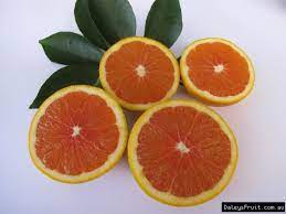 The distinctive dark flesh color is due to the presence of anthocyanins, a family of polyphenol pigments common to many flowers and fruit, but uncommon in citrus fruits. Blood Orange Tree Cara Cara No Seeds Large Fruit