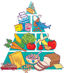 Free Images Of Food Groups Download Free Clip Art Free