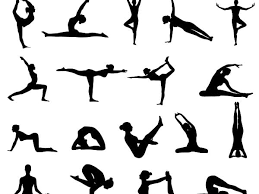 6 full body stretching exercises