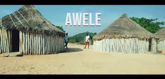 Download Mp3 Official Video Flavour Awele Ft Umu Obiligbo