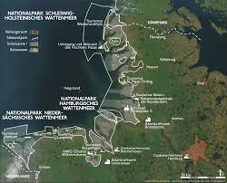 Wir la­den sie herz­lich ein, die hal­lig­welt zu ent­de. Schleswig Holsteinisches Wattenmeer