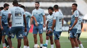 Currently, palmeiras rank 1st, while on sofascore livescore you can find all previous palmeiras vs santos results sorted by their h2h. Palmeiras 1 0 Santos Copa Libertadores Result Goals Summary As Com