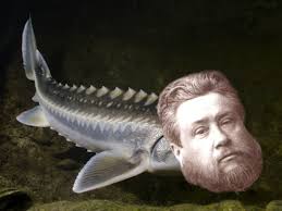 Charles Sturgeon : r/ReformedHumor