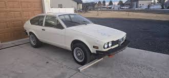 Image result for Avorio 1974 Alfa-Romeo