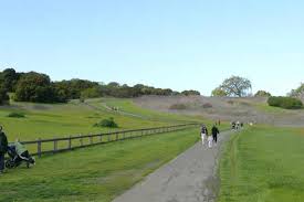 The instructor had told us to go to the right, down to the cattle pasture and complete the 360 o course. The Dish Is Visible From Some Points Of The Hike Picture Of The Stanford Dish Palo Alto Tripadvisor