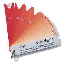 Salmon Fan This Is Used To Pick The Color Of Dye That Will