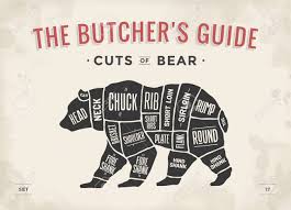 bear cut of meat set poster butcher diagram scheme bear