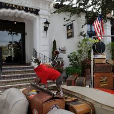 The grounds are gated and double fenced. Cypress Inn Luxushotel Von Doris Day Bunte De