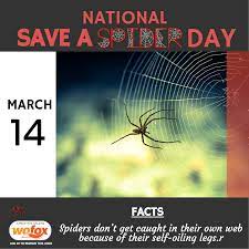 Spiderman is part of the movies wallpapers collection. National Save A Spiders Day Instagram Post 1080x1080 Px Wofox