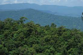 The sierra madre mountain system consists of the sierra madre occidental (to the west), the sierra madre oriental (to the east), and the sierra madre del sur (to the south). Sierra Madre Philippines Wikipedia