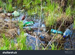 environmental pollution non biodegradable waste of life people n ad affiliate biodegradable poll environmental pollution pollution biodegradable products