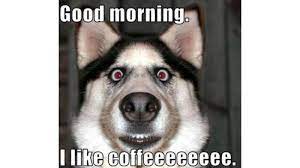 80 Perfectly Accurate Funny Good Morning Memes To Kick Start Your Day