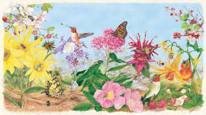 Best perennial flowers for bees. Canadian Wildlife Federation Explore Our Pollinators