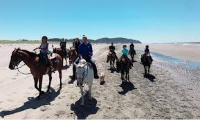 See reviews and photos of gift & specialty shops in hockessin, delaware on gift & specialty shops in hockessin. One Hour Horseback Beach Ride West Coast Horse Rides Groupon