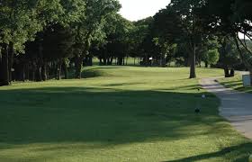 Image result for Aqua 1992 Shadow