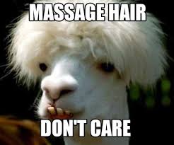 You can choose the most popular free long hair dont care gifs to your phone or computer. Meme Creator Funny Massage Hair Don T Care Meme Generator At Memecreator Org