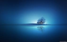 Choose from a curated selection of laptop wallpapers for your mobile and desktop screens. Laptop Wallpapers And Hd Backgrounds Free Download On Picgaga
