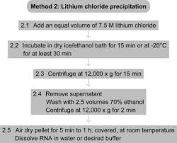 In this case, your doctor may also test your urine for chloride and blood sugar levels to see if you have diabetes. Lithium Chloride An Overview Sciencedirect Topics