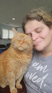 This is Diesel. I also call him "The Mouth of the South ". He loves the  sound of his own voice & is relentless when he wants something. ❤🐈