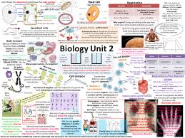 Aqa B2 Revision Poster Question Template Higher Chemistry Revision Gcse Science Revision Gcse Biology Revision