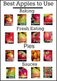 What Apples Are Best For Pie Sauce Baking Or Fresh Eating