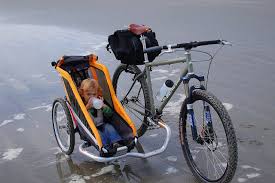 Image result for bicycle sidecar