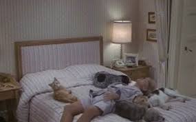 Seems Like Old Times (1980) - Cinema Cats